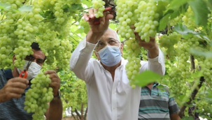 Arazide eksik çalışan işçinin ücretini dayıbaşı ödeyecek