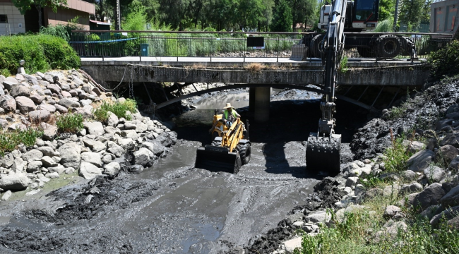 Atatürk kent parkında dere temizliği