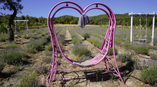 Bahçe sezon sonuna kadar açık