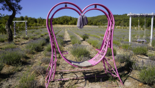 Bahçe sezon sonuna kadar açık