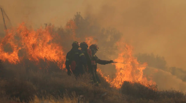 Bakan Yerlikaya acı bilançoyu paylaştı.İl il yangınların hasarının boyutu!