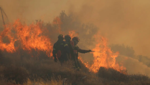 Bakan Yerlikaya acı bilançoyu paylaştı.İl il yangınların hasarının boyutu!