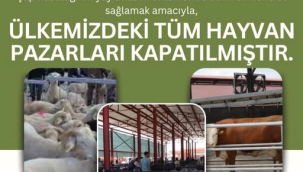 Bakanlık şap hastalığı nedeniyle tüm hayvan pazarlarını kapattı