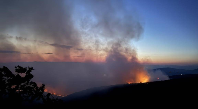 Bilecik yangını Bursa'ya dayandı: Hazırlıklar başladı