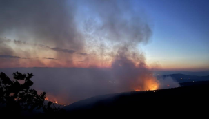 Bilecik yangını Bursa'ya dayandı: Hazırlıklar başladı