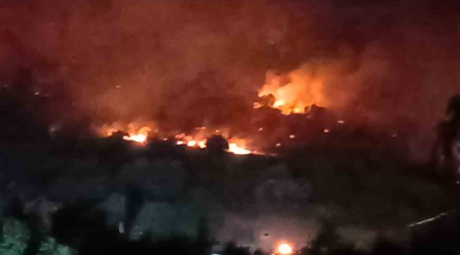Dikili'de orman yangını: Çanakkale yolu ulaşıma kapatıldı