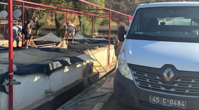Dört ilçede 10 baraj gölüne 404.000 adet pullu sazan yavrusu bırakıldı