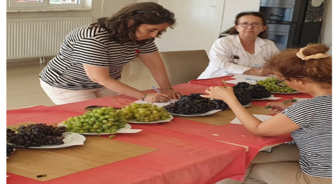 Erkenci üzümlerde tadım değerlendirmesi