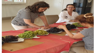 Erkenci üzümlerde tadım değerlendirmesi 