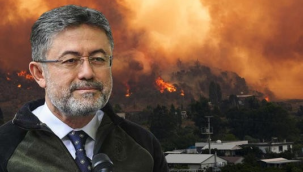 Hatay,Muğla ve Manisa'da orman yangınları sürüyor