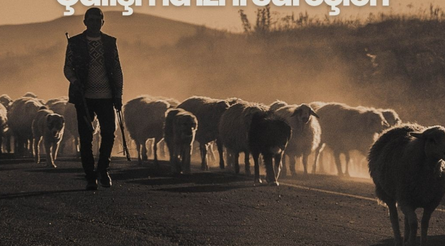 Hayvancılık işletmelerinde çalışacak yabancı uyruklu sayısı 3'ü geçmeyecek