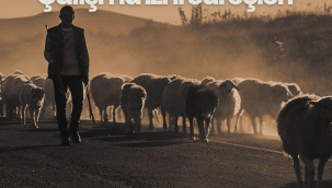 Hayvancılık işletmelerinde çalışacak yabancı uyruklu sayısı 3'ü geçmeyecek