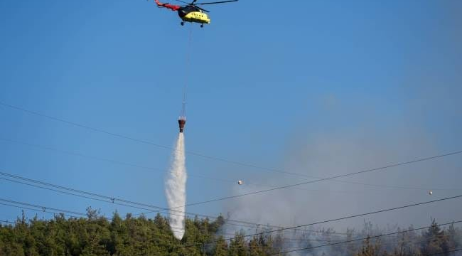 Manisa'da yerleşim yerlerine dayandı