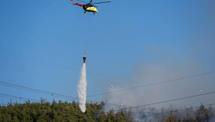 Manisa'da yerleşim yerlerine dayandı