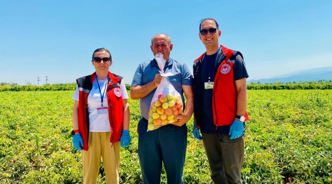 Organik tarımın yaygınlaştırılması ve kontrolü projesi kapsamında ürünlerde numune alma