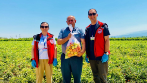 Organik tarımın yaygınlaştırılması ve kontrolü projesi kapsamında ürünlerde numune alma