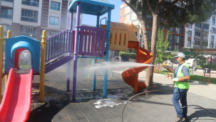 Parklarda yaz temizliği