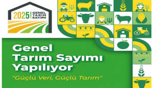 Salihli'de genel tarım sayımı başladı