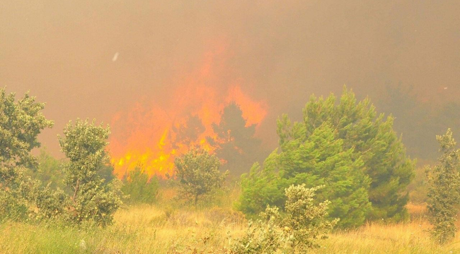 Saruhanlı'da orman yangını 3 mahalle boşaltıldı