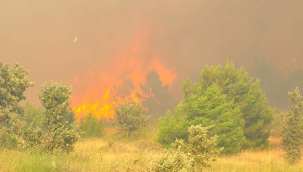 Saruhanlı'da orman yangını 3 mahalle boşaltıldı
