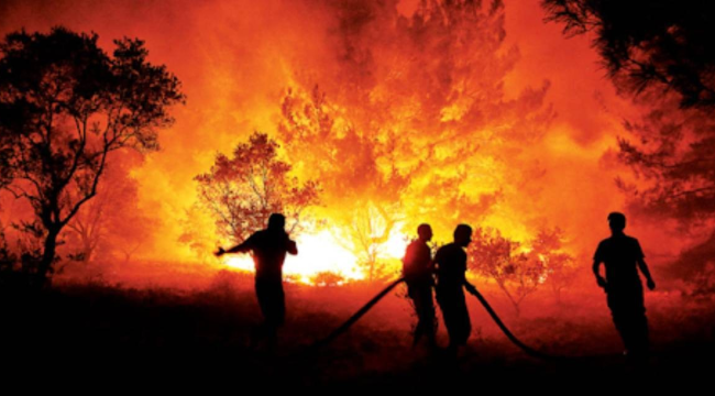 Şehit olan 10 orman işçisinin kimlikleri belli oldu