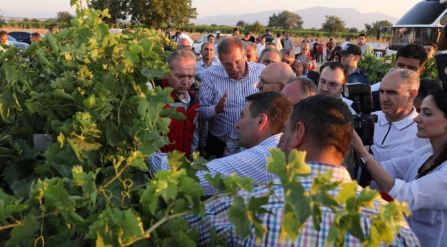 TBMM zirai don araştırma komisyonu,Manisa'da sahaya indi