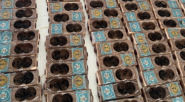 Üreticilere ücretsiz 359 adet batı ege ırkı ana arı teslim edildi