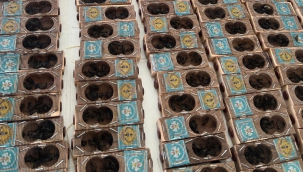 Üreticilere ücretsiz 359 adet batı ege ırkı ana arı teslim edildi