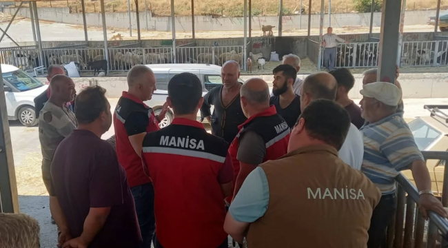 Veterinerler yangından kurtarılan hayvanları kontrol etti