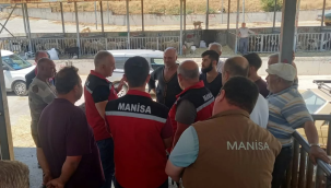 Veterinerler yangından kurtarılan hayvanları kontrol etti