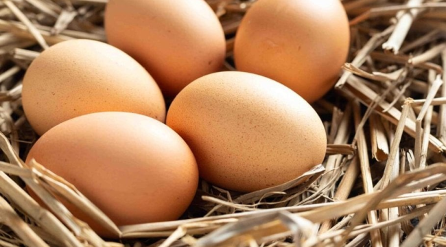 Yumurta fiyatlarına zam