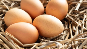 Yumurta fiyatlarına zam