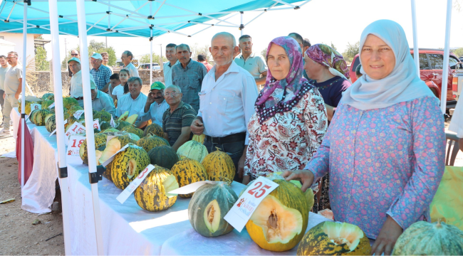 Ayvatlar kavun festivali,"en lezzetli kavun yarışması"yapıldı
