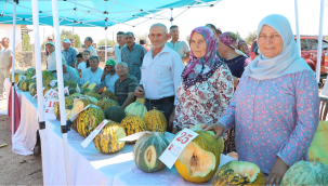 Ayvatlar kavun festivali,"en lezzetli kavun yarışması"yapıldı