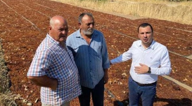 Başevirgen'den TMO'ya üzüm fiyat açıklaması çağrısı