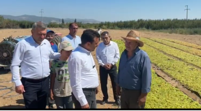 Başevirgen üzüm üreticilerine bir dokundu bin ah işitti