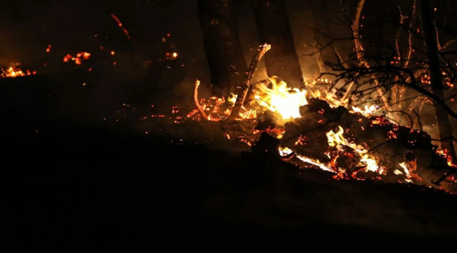 Çanakkale'de evler kül oldu, köyler boşaltıldı