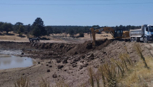 Gördes'te göletlerde biriken pislikler temizlendi