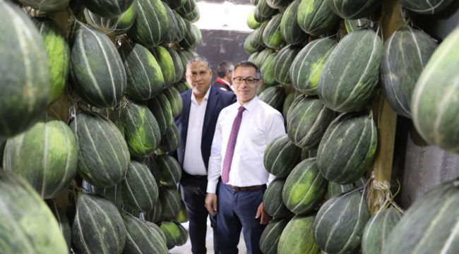 Kaymakam Koç Davutbey kavunu hasadına katıldı