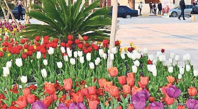 Lale meydanının adı değişti