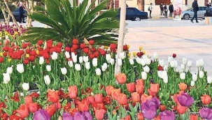 Lale meydanının adı değişti