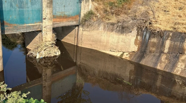 Manisa'da çevre felaketi kapıda