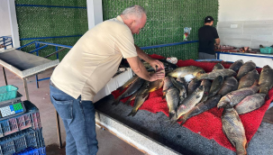 Önce denetleniyor sonra satışa sunuluyor