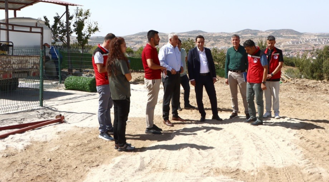 Örnek projeyle 1600 sokak hayvanı barınacak