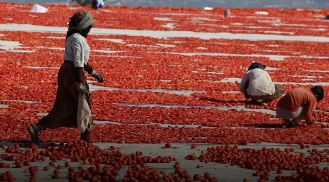 Ova kırmızıya boyandı