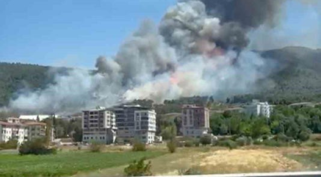 Soma'da orman yangını