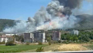 Soma'da orman yangını