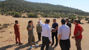 Turgutlu'da sokak hayvanlarına yeni yaşam alanı için yer bulundu