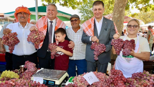 Urla bağbozumu şenliği başladı