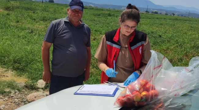 Yaş sebze ve meyvelerden hasat öncesi 1084 numune alındı